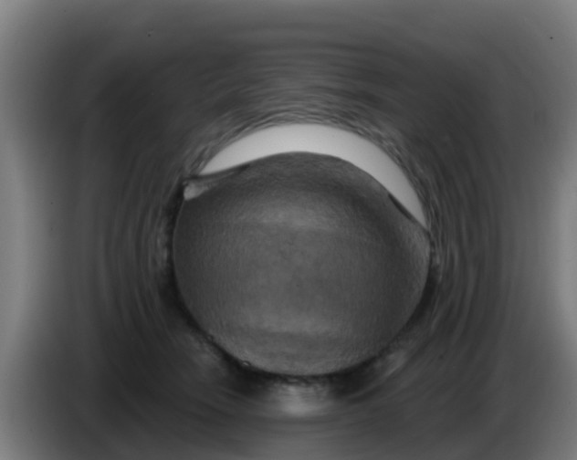 X0000086300466200704201946