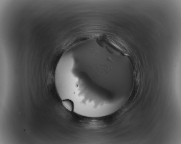 X0000086300467200704201946