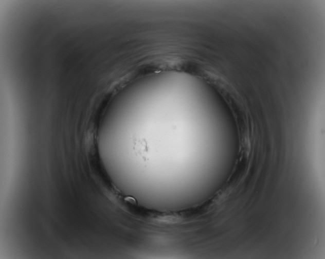 X0000086300468200704201946