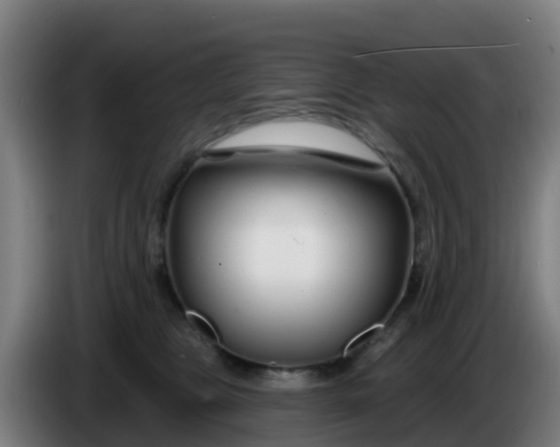 X0000086300469200704201946