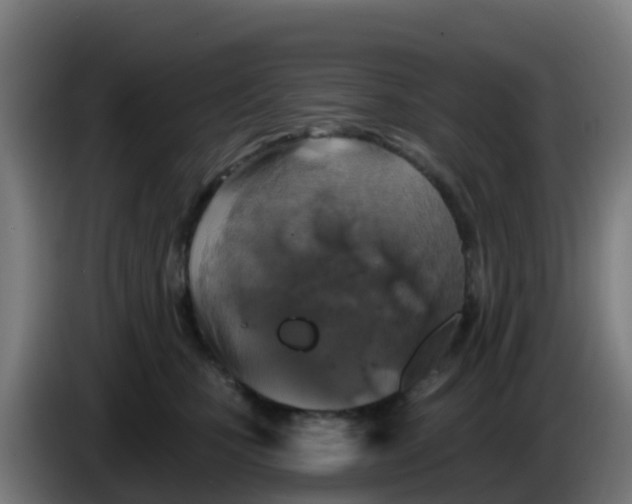 X0000086300471200704201946