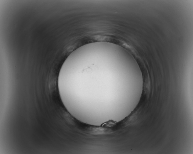 X0000086300473200704201946