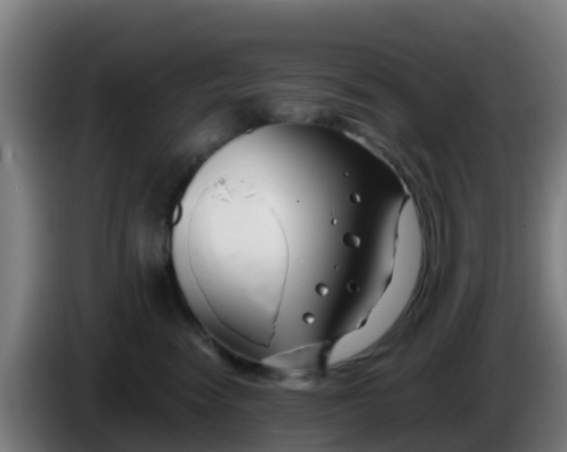 X0000086300474200704201946