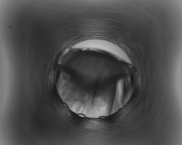 X0000086300475200704201946