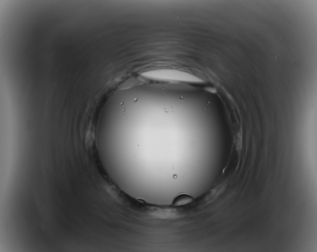 X0000086300476200704201946