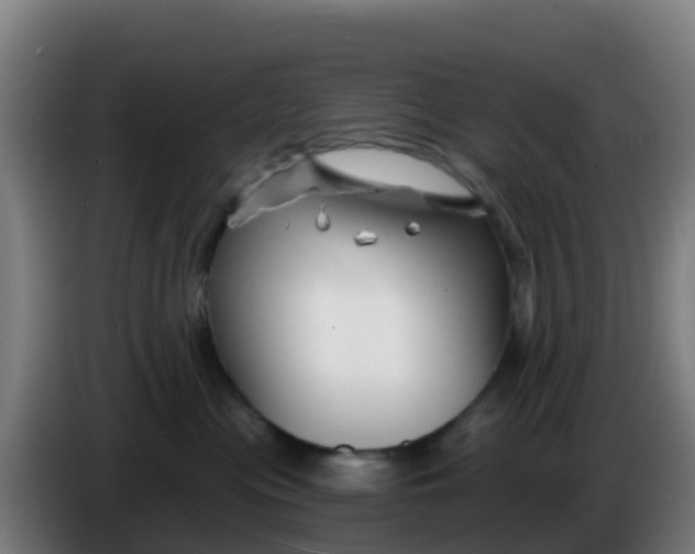 X0000086300477200704201946