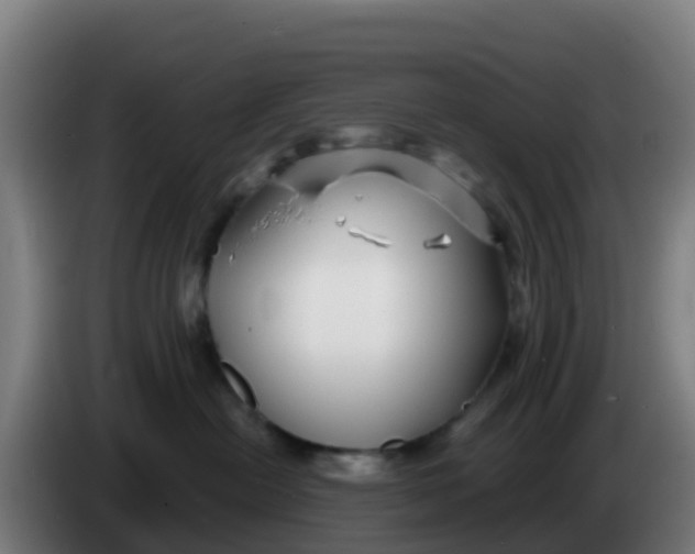 X0000086300478200704201946