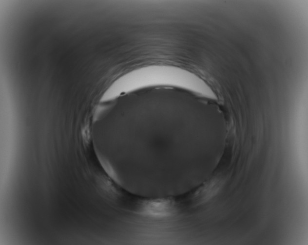 X0000086300479200704201946