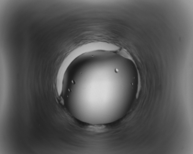 X0000086300480200704201946