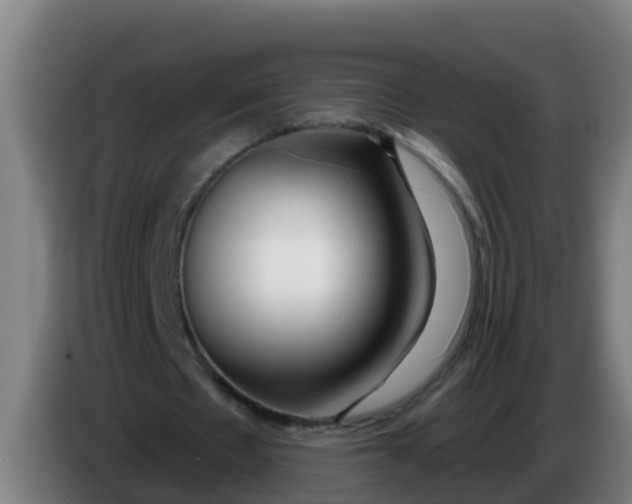 X0000086300481200704201945