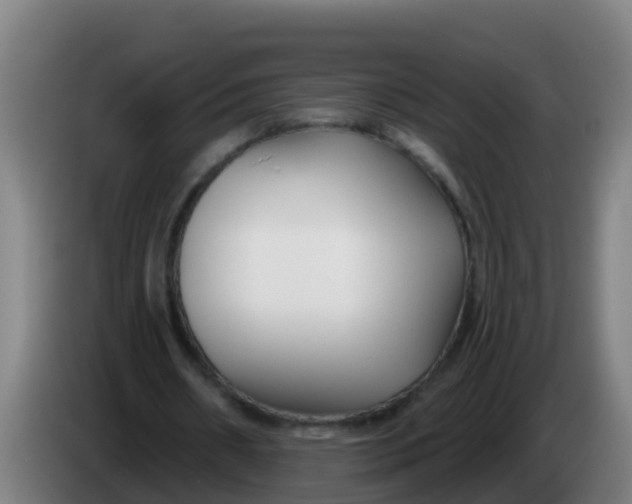 X0000086300482200704201945