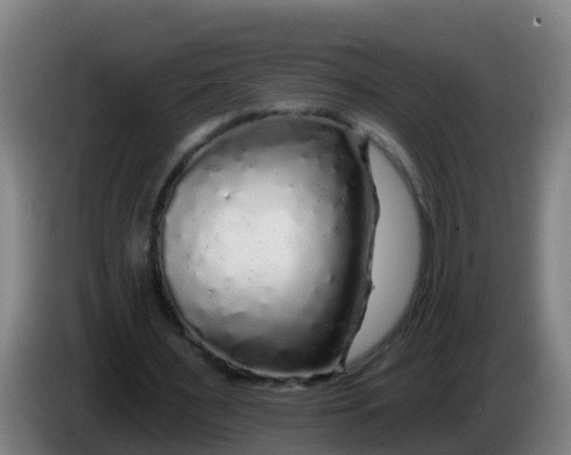 X0000086300483200704201945