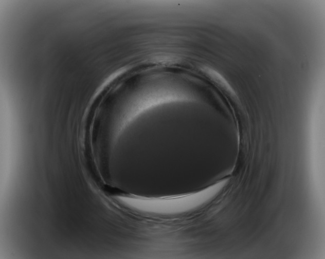 X0000086300484200704201945