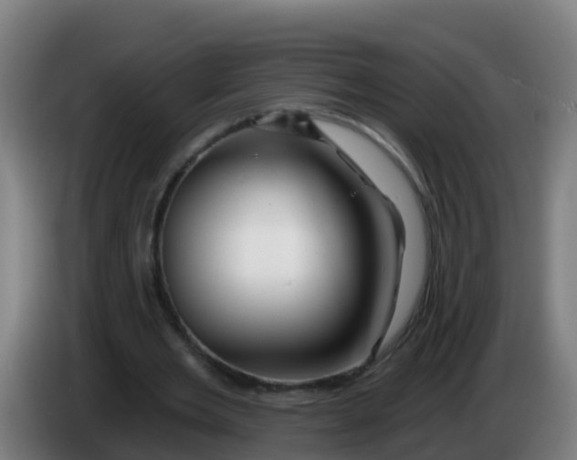 X0000086300485200704201945