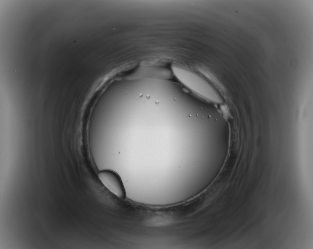 X0000086300486200704201945