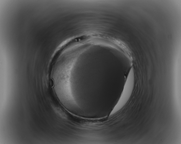 X0000086300488200704201945