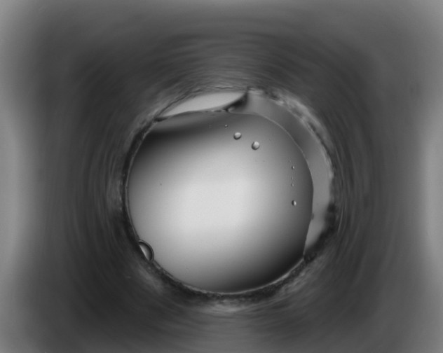 X0000086300489200704201945