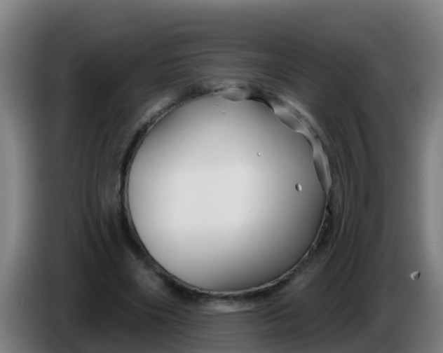 X0000086300490200704201945