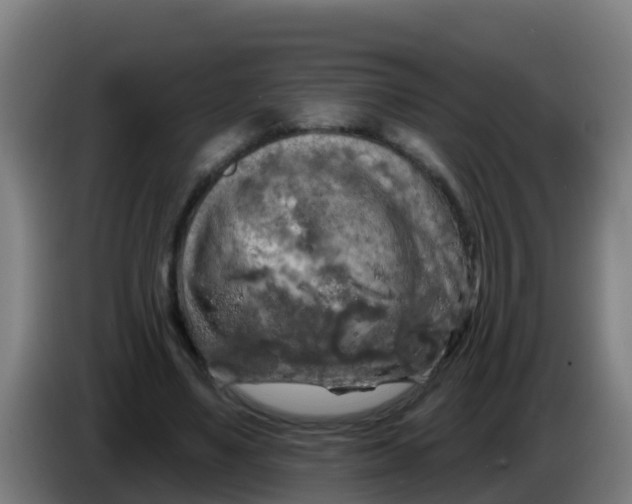 X0000086300491200704201945