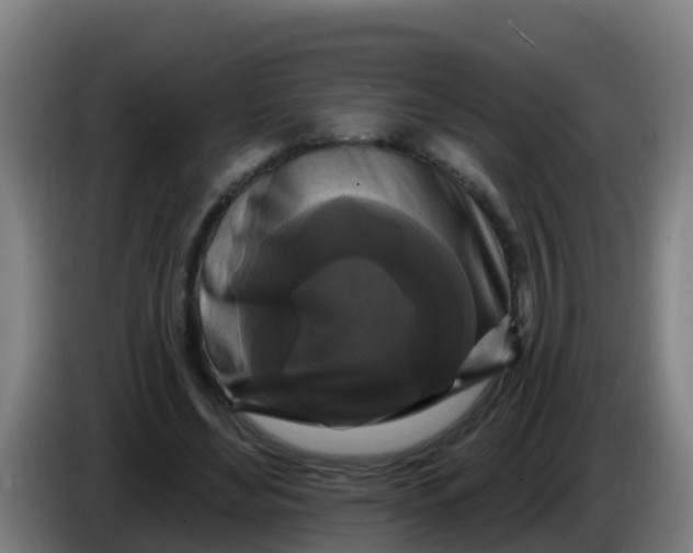 X0000086300492200704201945