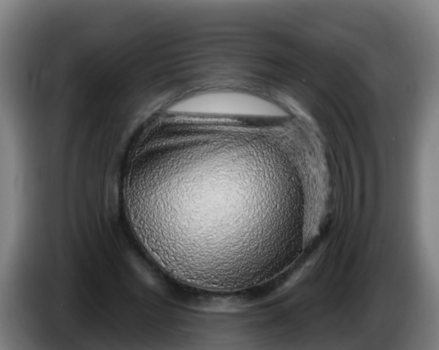 X0000086300493200704201945