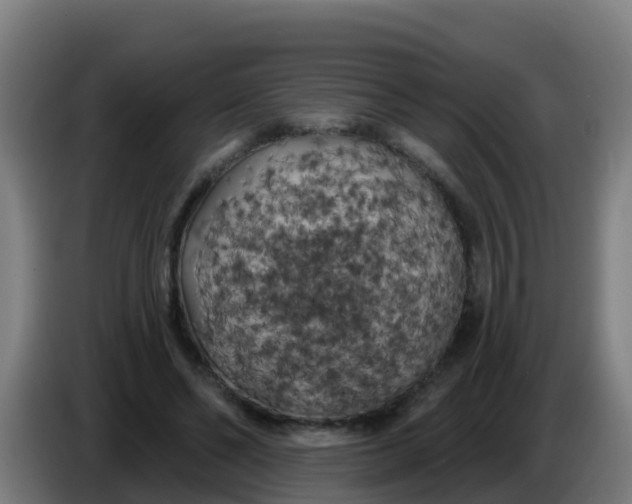 X0000086300494200704201945