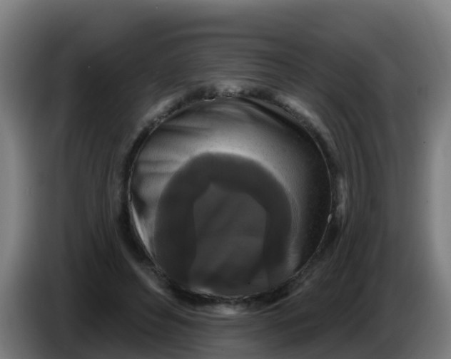 X0000086300496200704201945