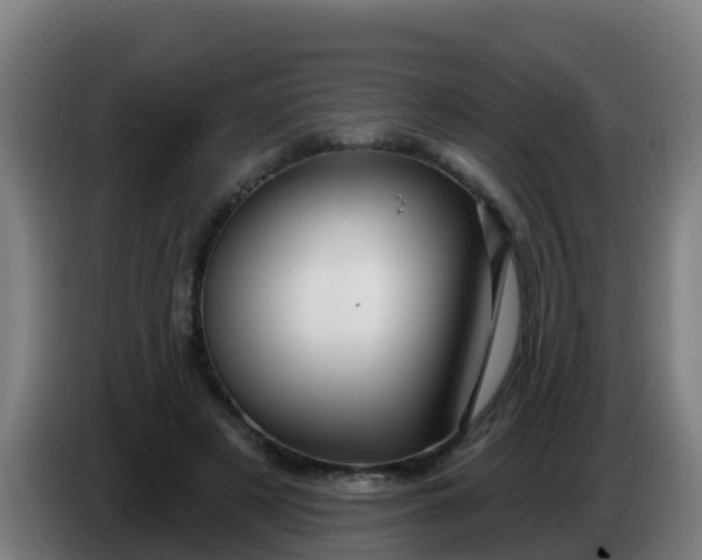 X0000086300497200704201945