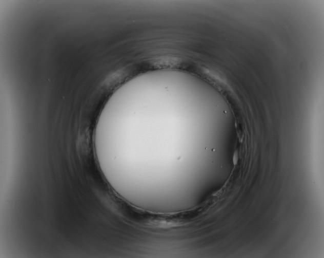 X0000086300498200704201945