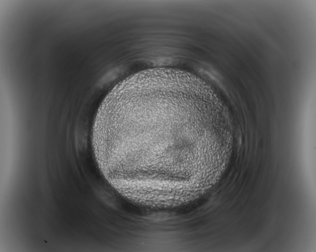 X0000086300499200704201945