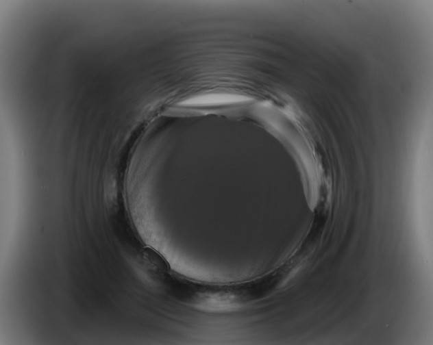 X0000086300500200704201945