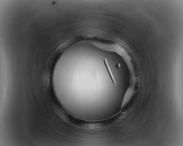 X0000086300501200704201945