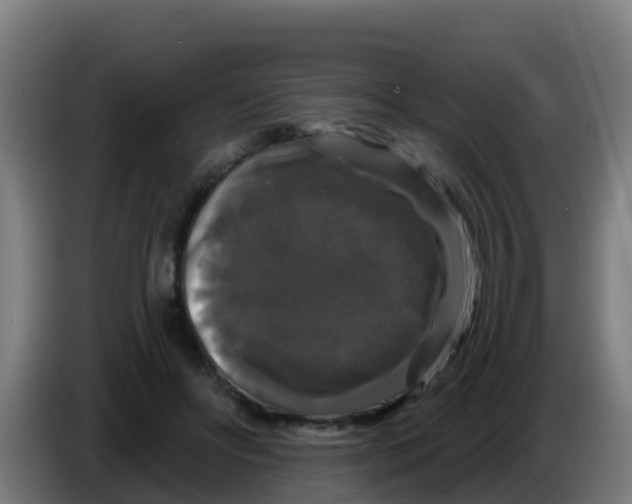 X0000086300502200704201945