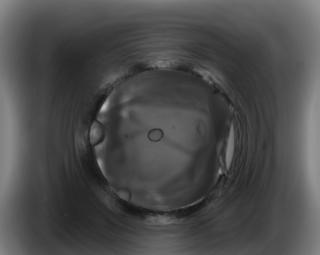 X0000086300503200704201945