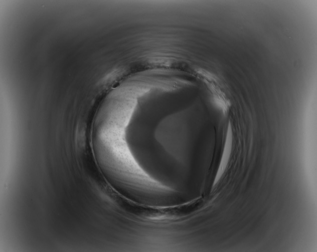 X0000086300504200704201945