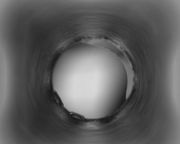 X0000086300505200704201945