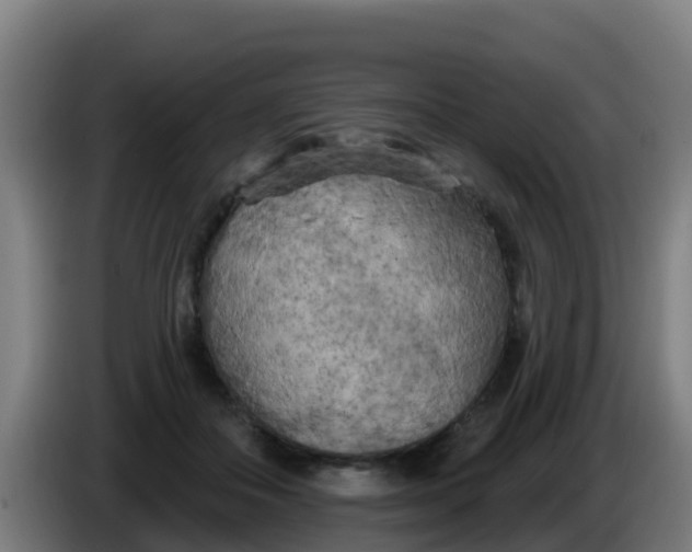 X0000086300506200704201945