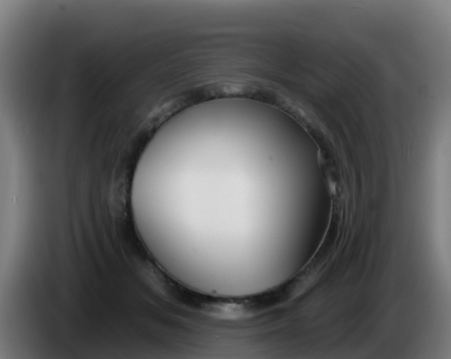 X0000086300509200704201945