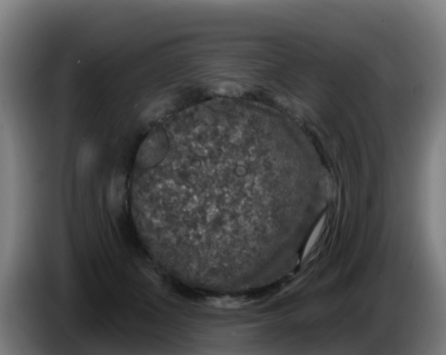 X0000086300511200704201945