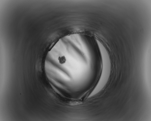 X0000086300512200704201945