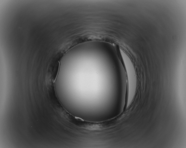 X0000086300513200704201945