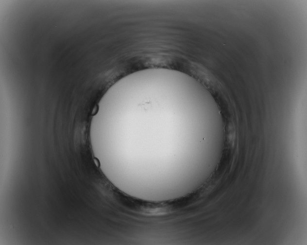 X0000086300514200704201945