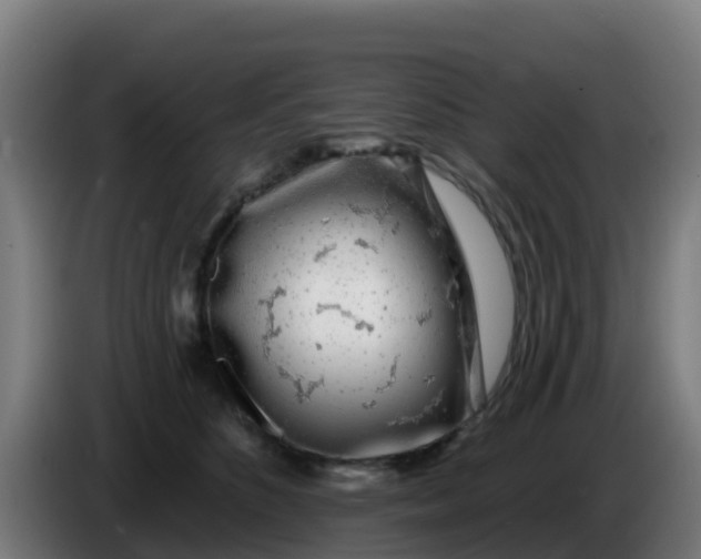 X0000086300516200704201945