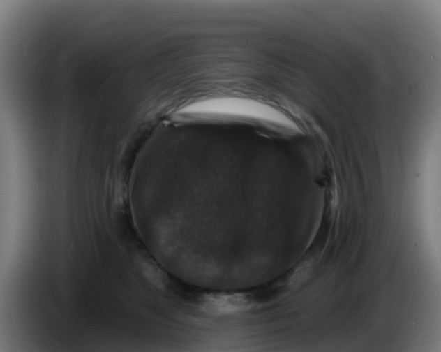 X0000086300517200704201945