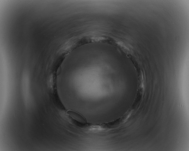 X0000086300519200704201945