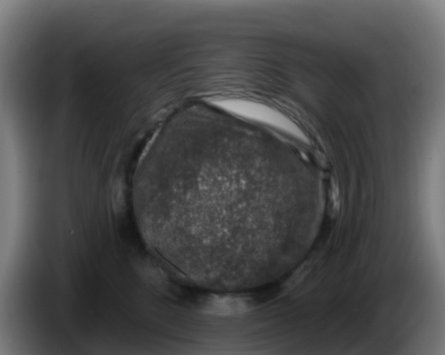 X0000086300520200704201945