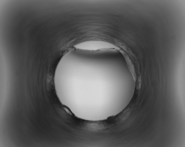 X0000086300521200704201945