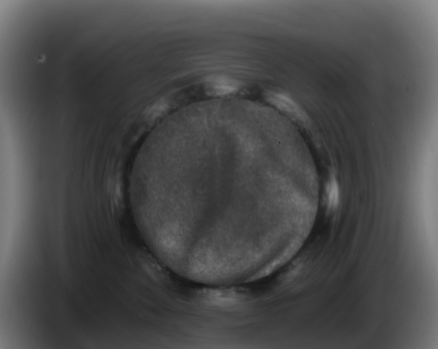 X0000086300524200704201945