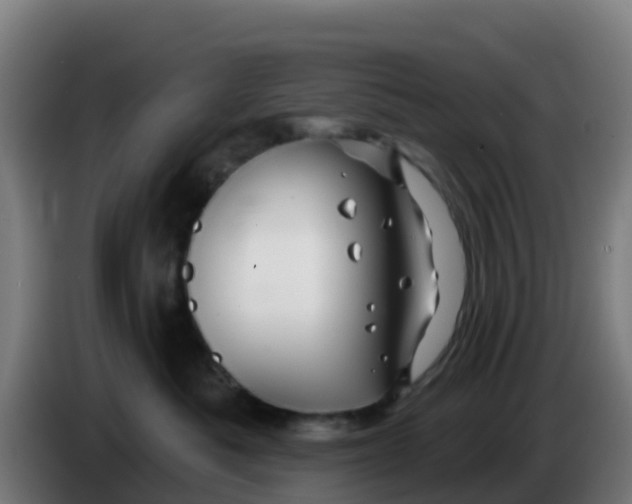 X0000086300525200704201945