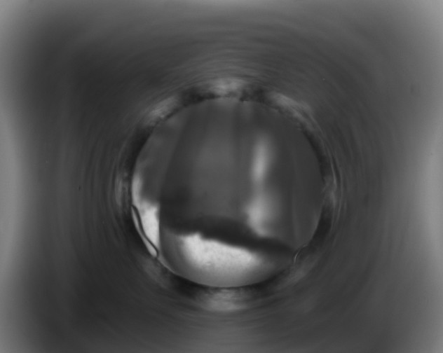 X0000086300527200704201945